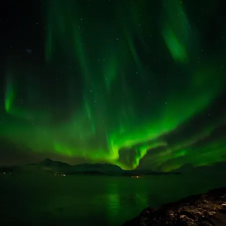 Elegant Center Of Tromsø