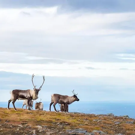 公寓 Elegant Center Of