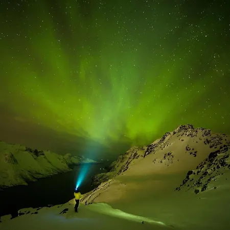 公寓 Elegant Center Of 特罗姆瑟