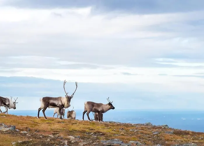 Apartamento Elegant Center Of